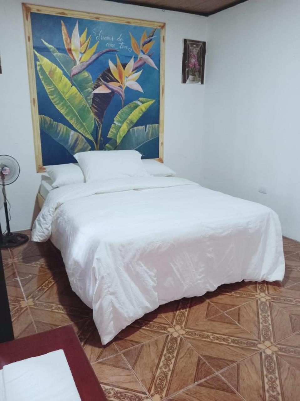 Blackout Hostel La Fortuna 外观 照片
