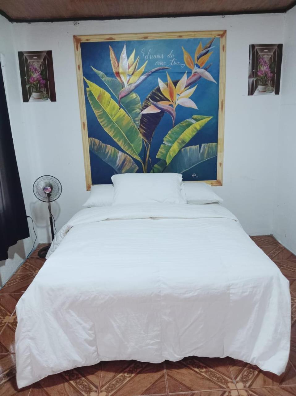 Blackout Hostel La Fortuna 外观 照片